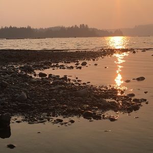 Meet your Posher, Jessy